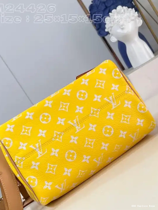 Aaa replica bags 25 Louis SPEEDY Vuitton 0529